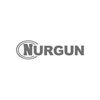 Nurgun Group LLC